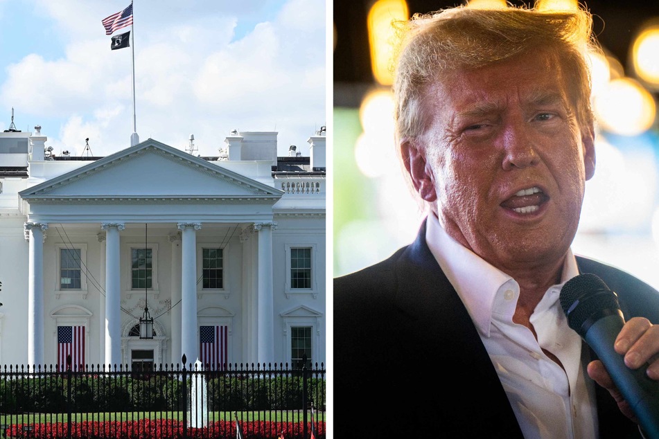 Woman slapped with whopping jail time for trying to poison Donald Trump