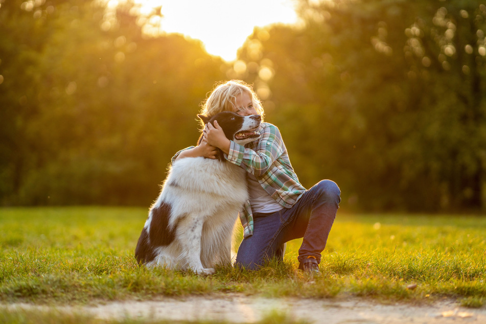 Having to say goodbye to your fur ball companion is usually not easy.