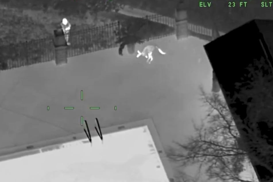 CCTV footage showed the kangaroo hopping through a residential complex and past a pool.