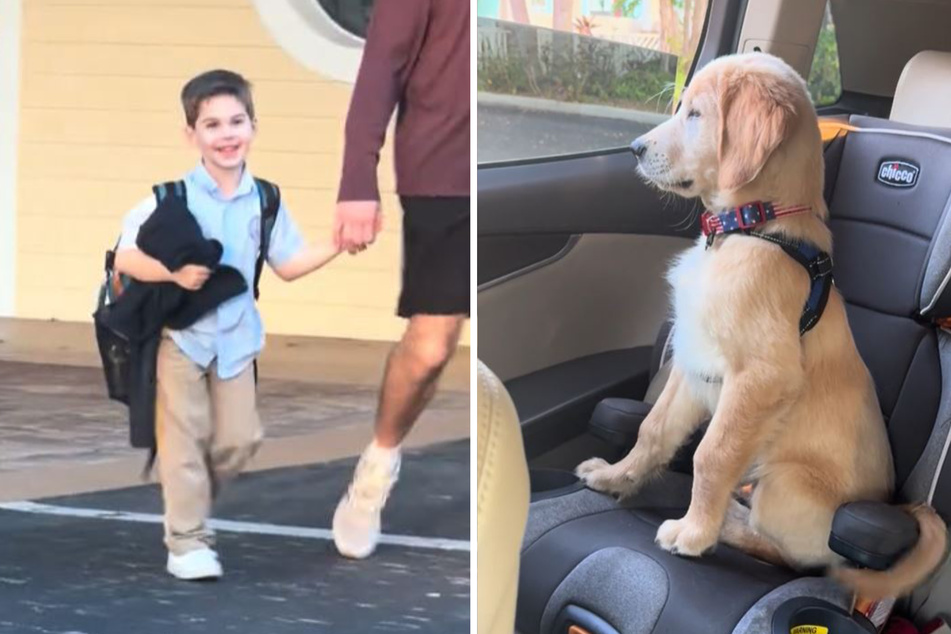 Luke smiles as Lucky waits anxiously in the car after school.