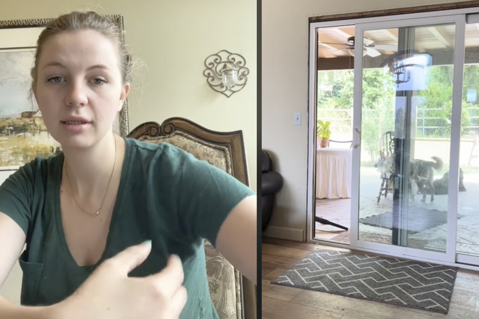 Clever dog has his human convinced someone's breaking into their home!