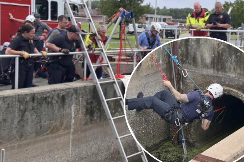 Baby deer trapped in water tank saved by firefighters in dramatic rescue