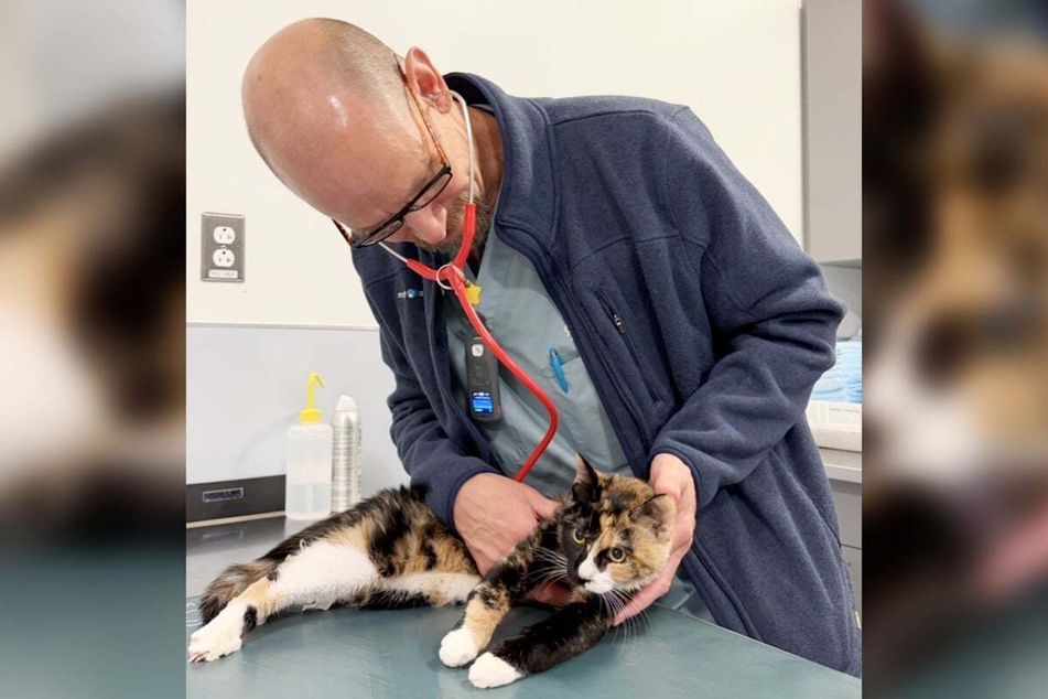 Mazy's operation is expensive – the doctors expect the operation to cost around $15,000.