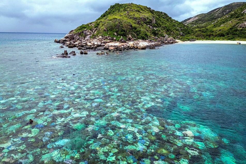 Bleached and dead coral surround Lizard Island on the Great Barrier Reef, located 167 miles north of the city of Cairns.