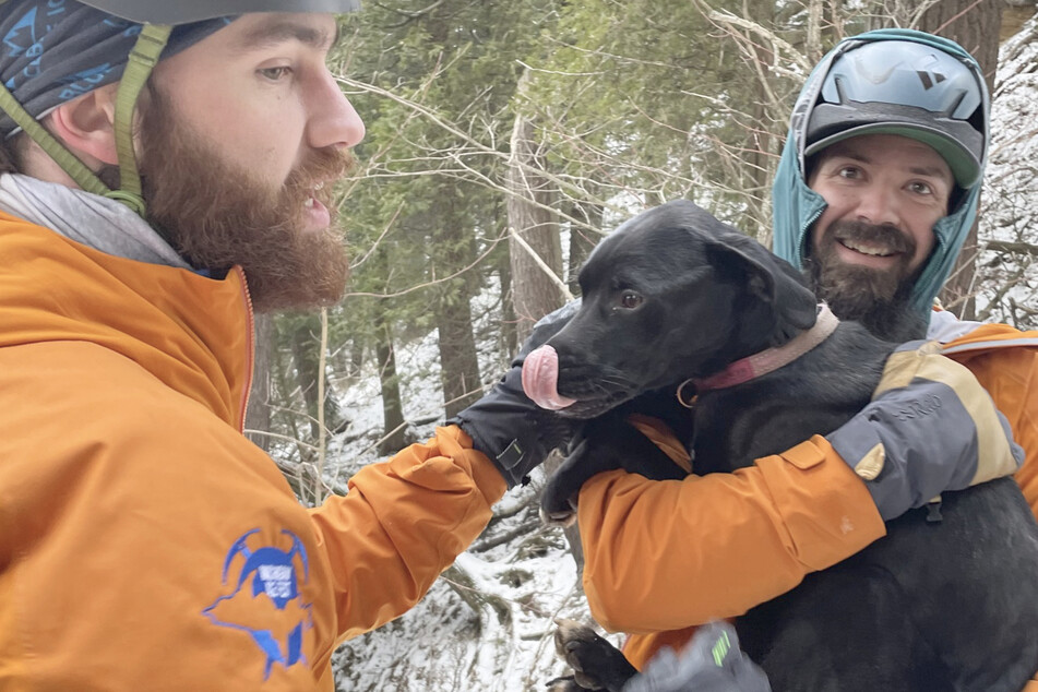 Dog falls over 60 feet in the dark before miraculous rescue!