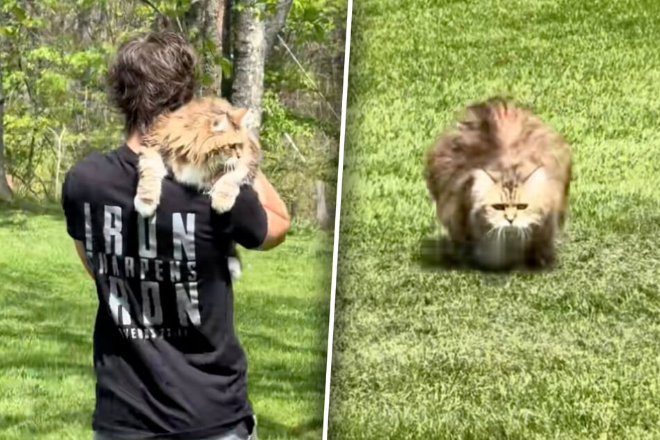 Chubby cat is prescribed exercise by vet – her family comes up with a funny way to enforce it!