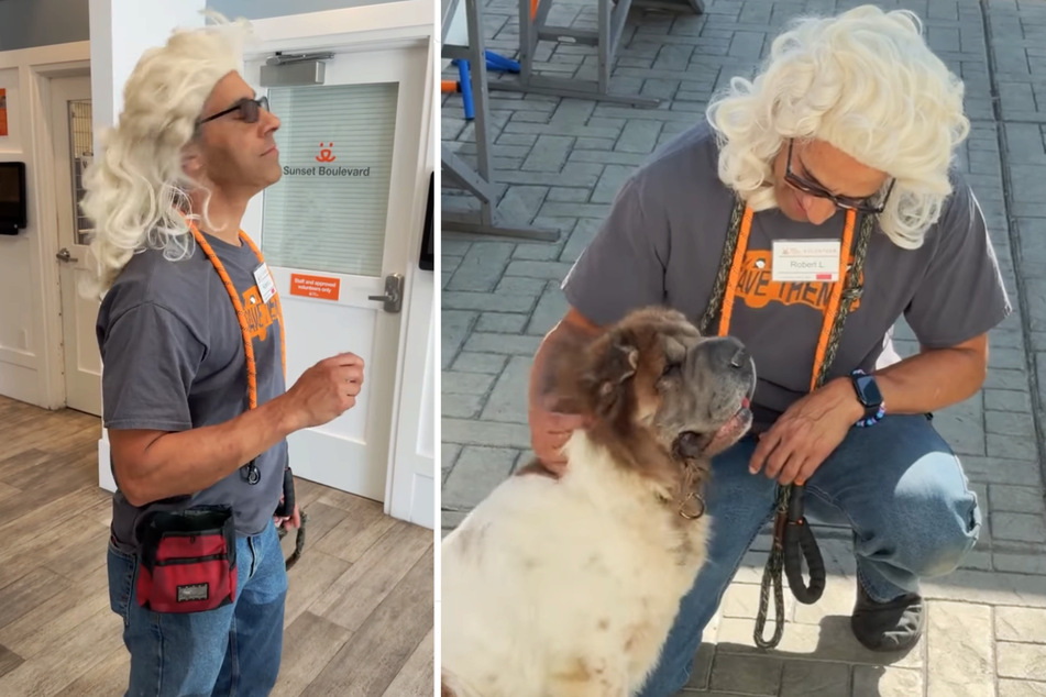A worker at an animal shelter quickly resorted to a trick to make things easier for Winnie the dog.