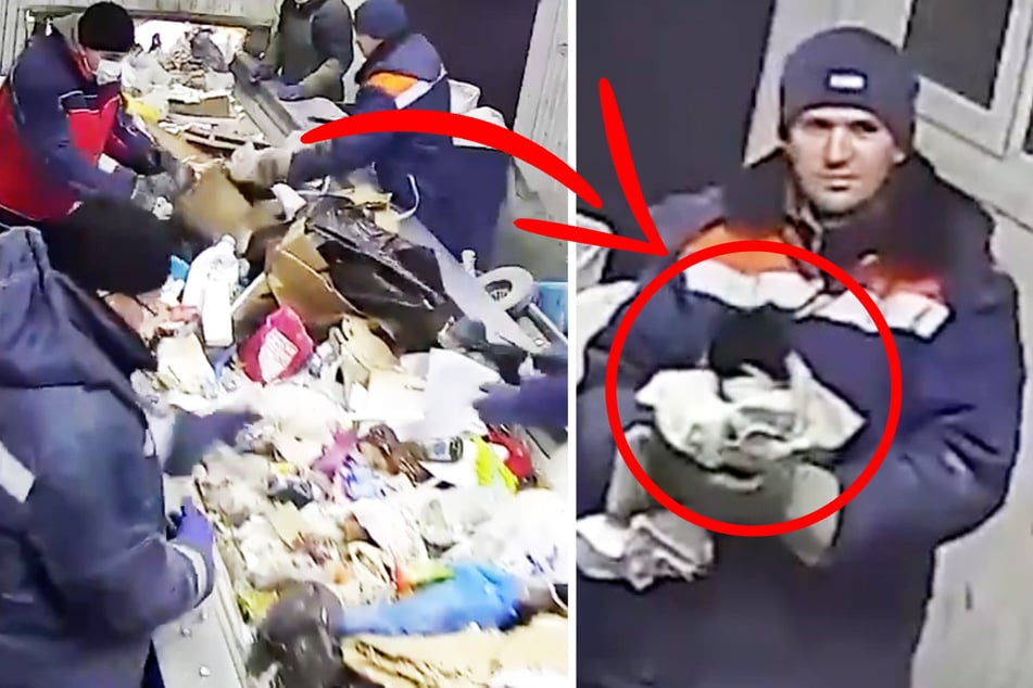 Cat saved inches from a trash compactor made honorary government employee