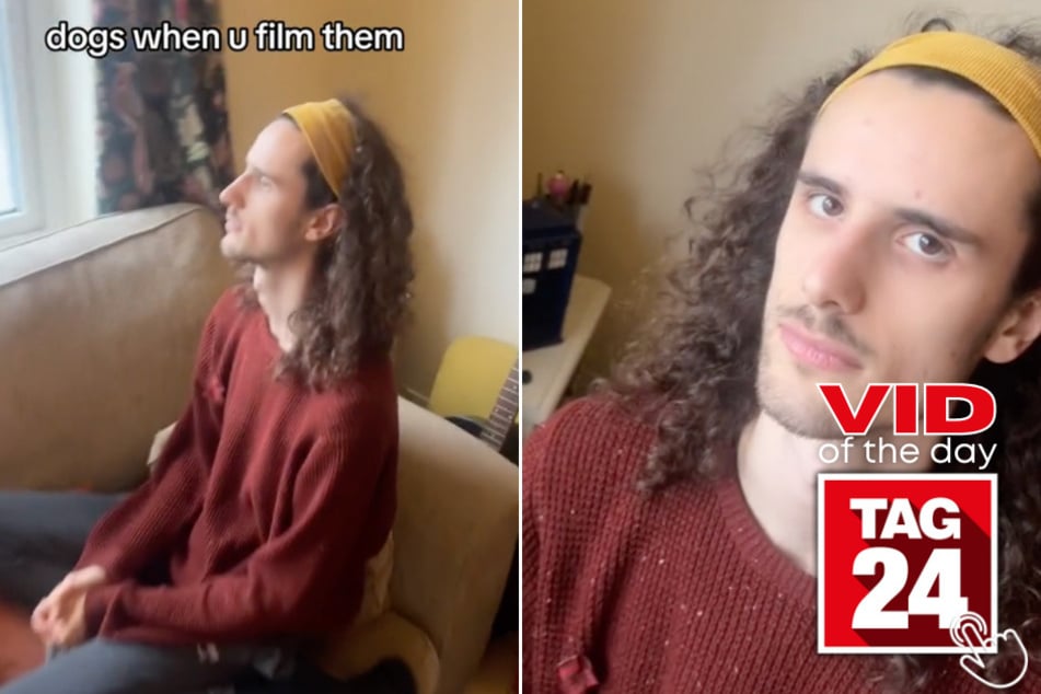 Today's Viral Video of the Day showcases a man with the perfect recreation of what dogs look like when being filmed!