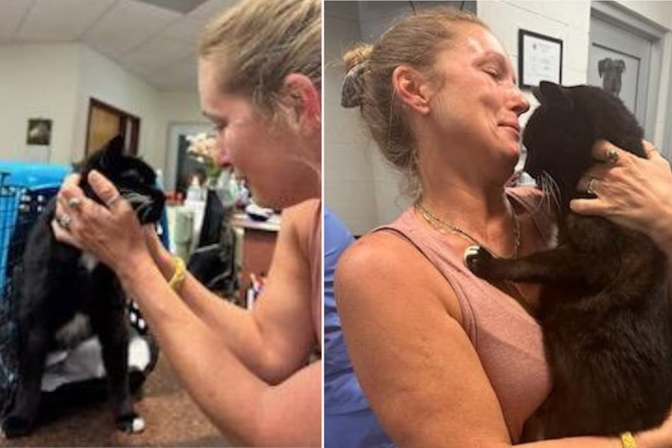 Cat goes missing for a decade – then his owner gets an unexpected call