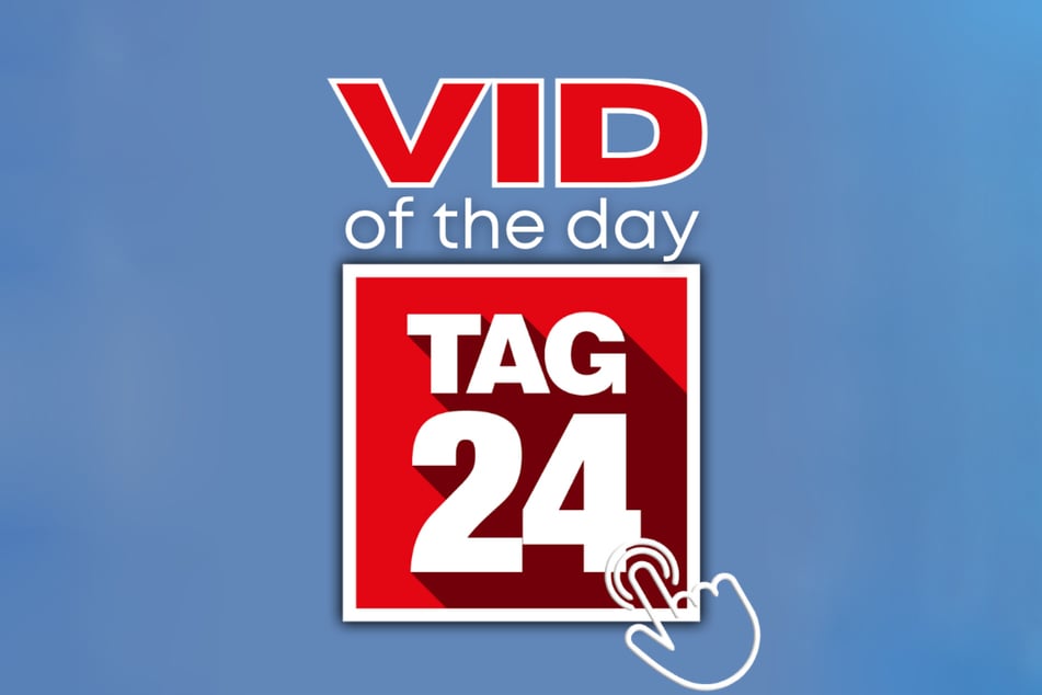 Discover the latest viral videos and trends.