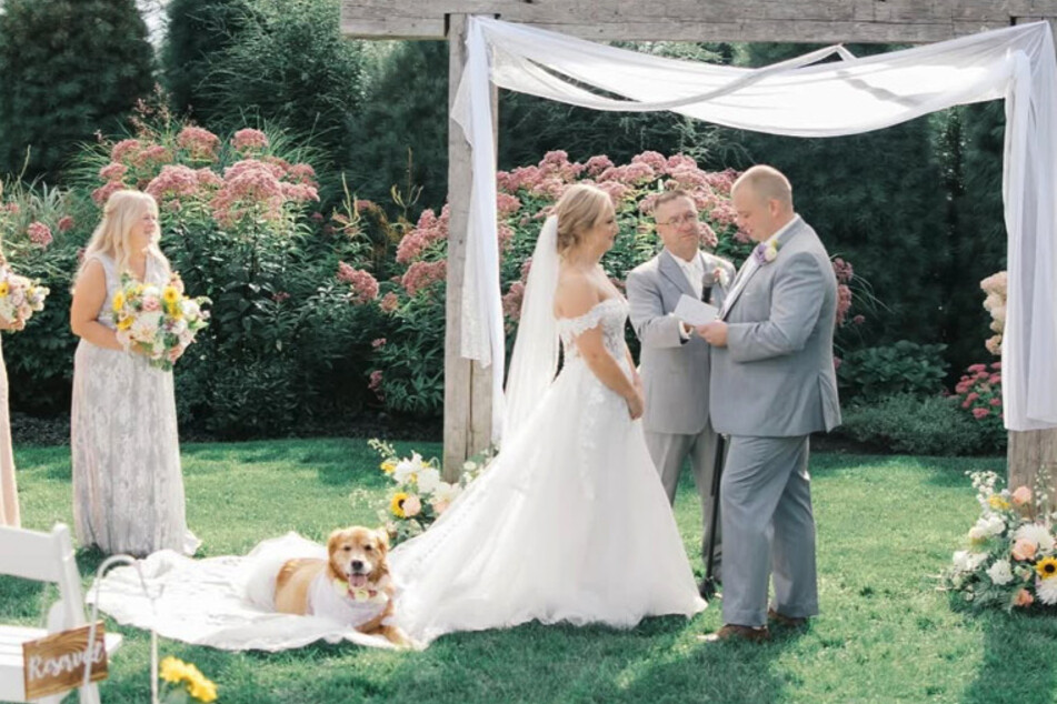 Anna and Stephen Carter tied the knot on September 7, 2024 - and their golden retriever Maybeline had a very special role in the ceremony.