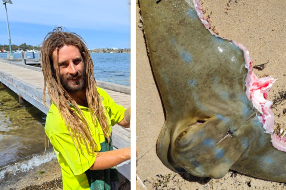 Fisherman's catch convinces him that "river monsters are real"