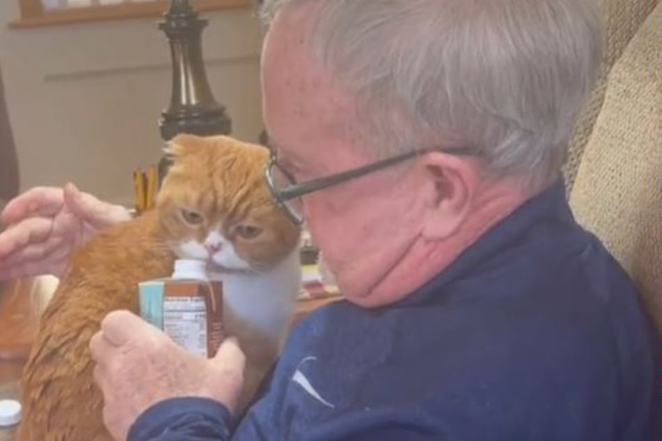 Sweet Potato and his new best friend even share drinks.