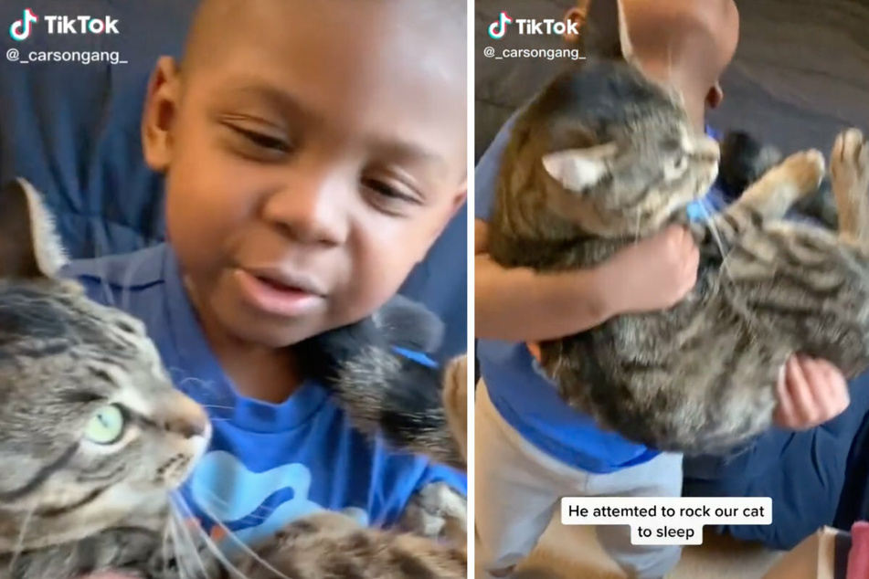 That's not what a happy cat looks like (collage).