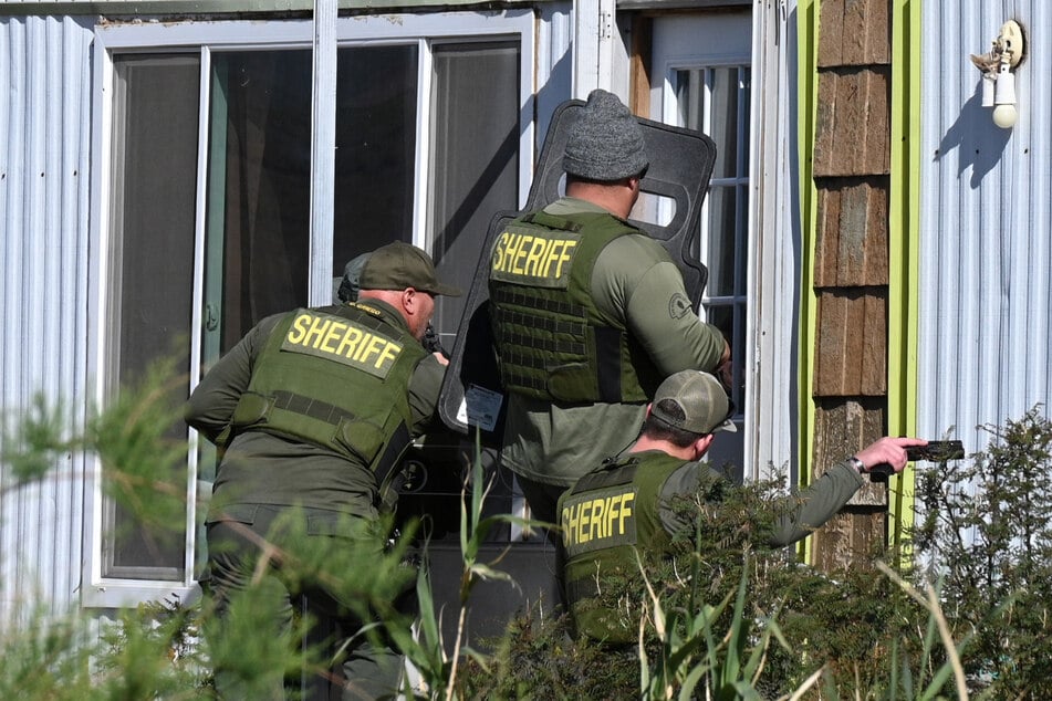 With such handsome profits to be made, illegal cannabis growth often intersects with more serious crime.