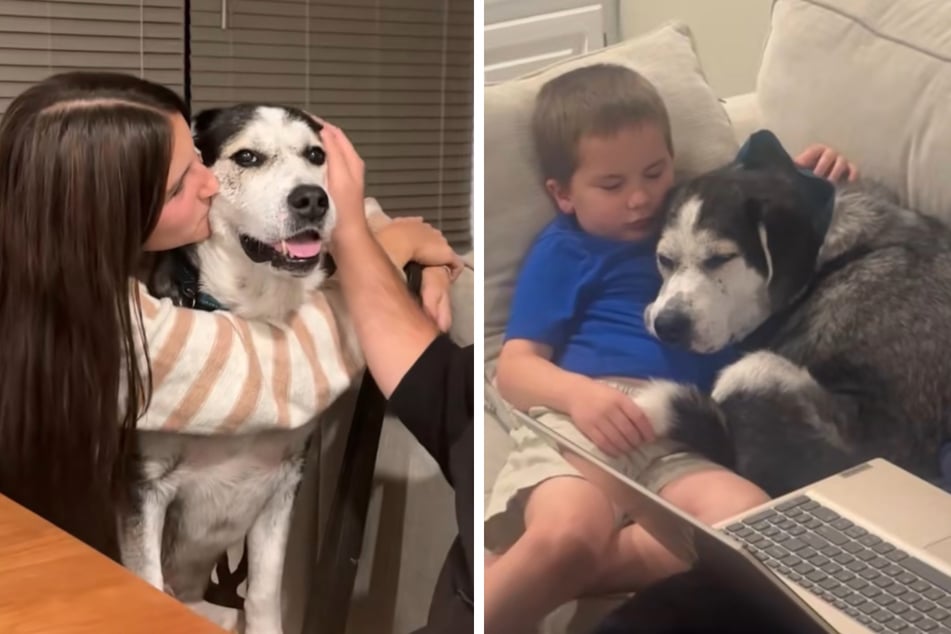 The children love Bruno the dog more than anything.
