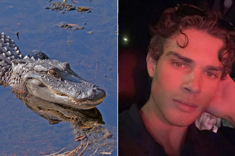 Looksmaxxing influencer Clavicular faces charges for shooting an alligator!