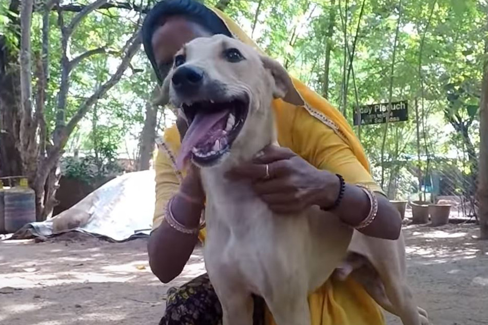 Precious is now a happy dog.