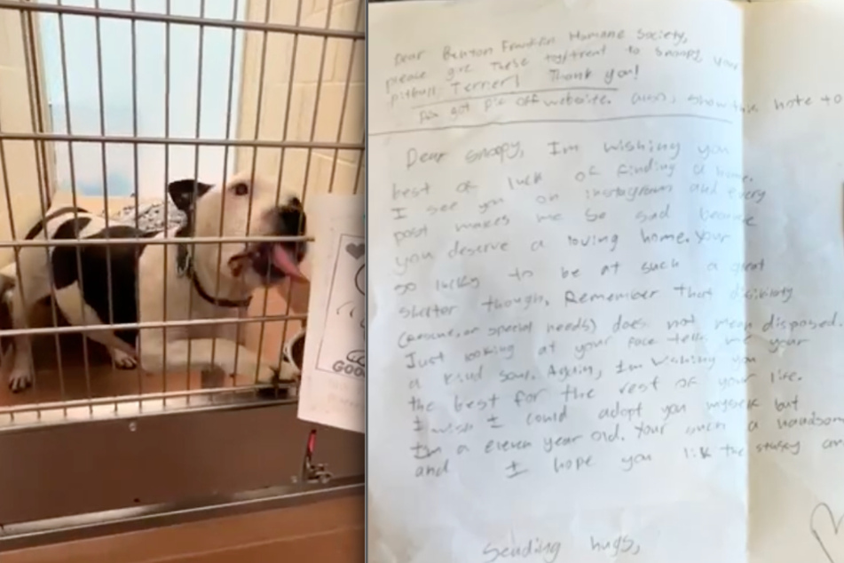 An 11-year-old girl named Emmy wrote Snoopy a heartfelt message of support.