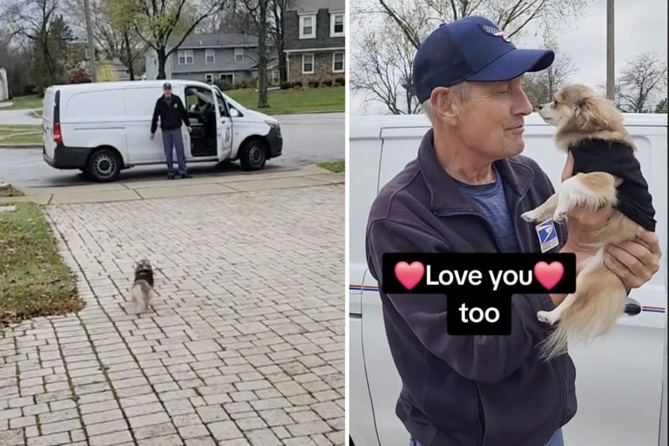 Mailman Dan and the furry friend are one heart and one soul!