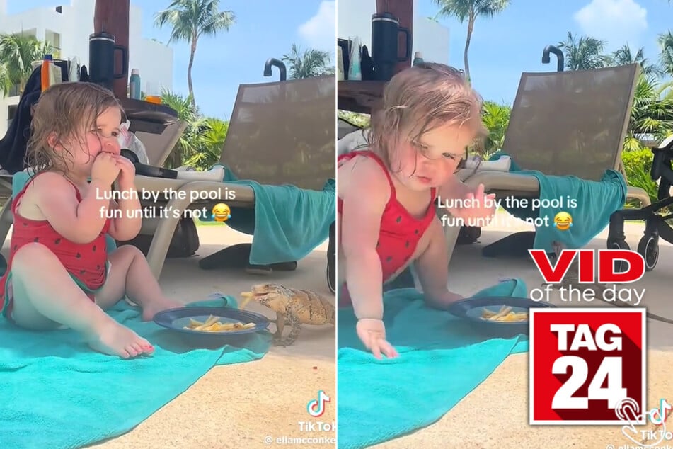 Viral Video of the Day for July 21, 2025: Toddler's pool lunch is crashed by unexpected guest!