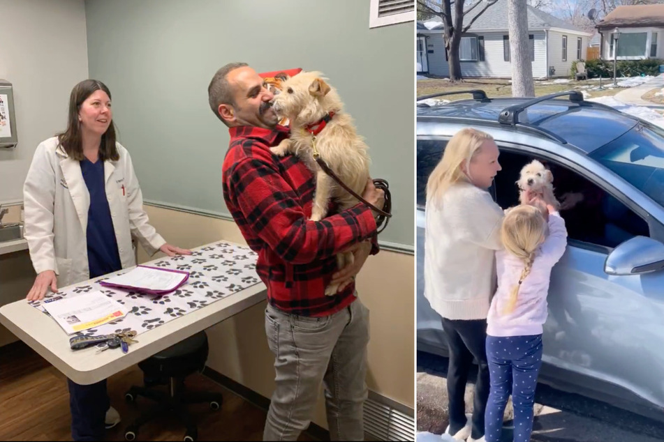 Missing dog mysteriously found 2,000 miles from California home