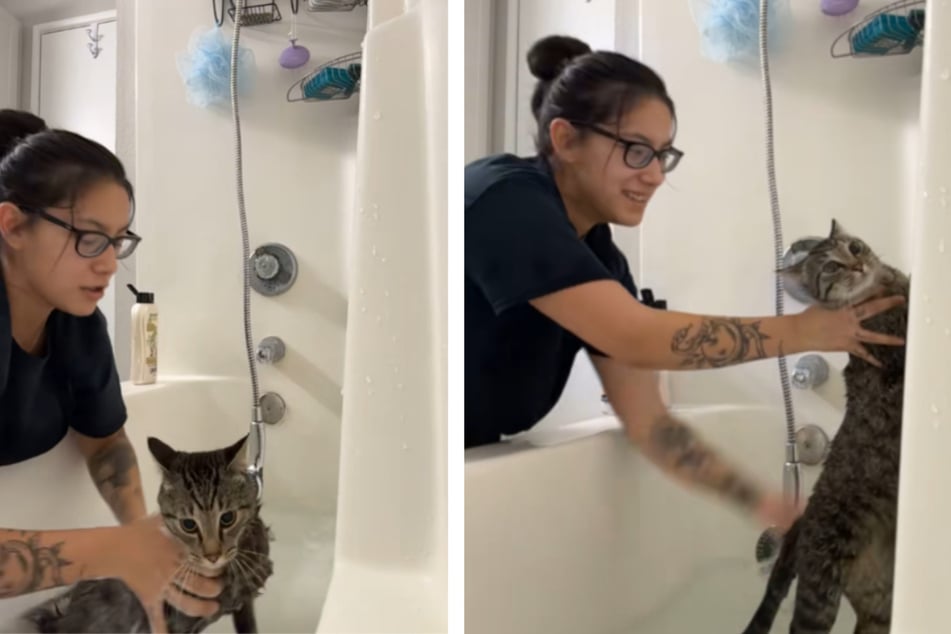 An adorable cat desperately attempted to make a break for it when bath time rolled around, and the footage has gone viral!