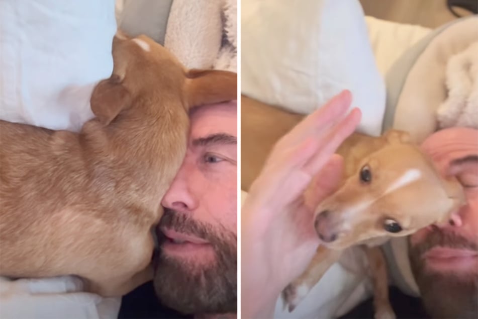 Grease star John Travolta can't get enough of his dog, Peanut! The actor shared a sweet clip of the dog's excitement after bathtime.