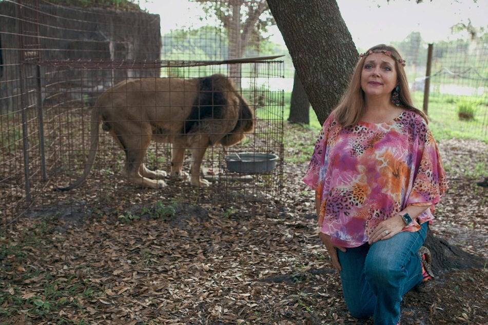 Big cat bill championed by Tiger King star passes US House