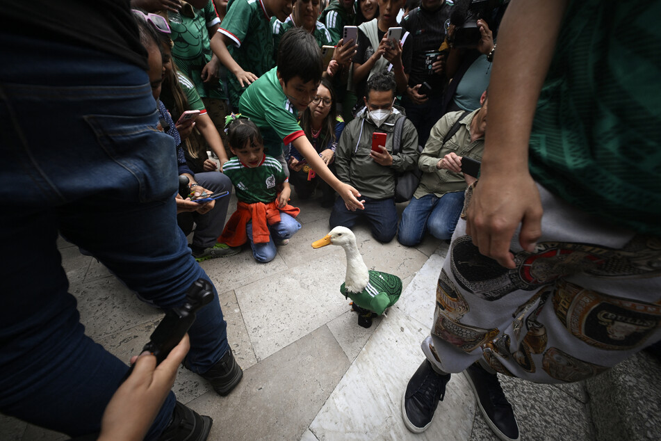 People gather around Merlin the duck in Mexico City on June 18, 2026.