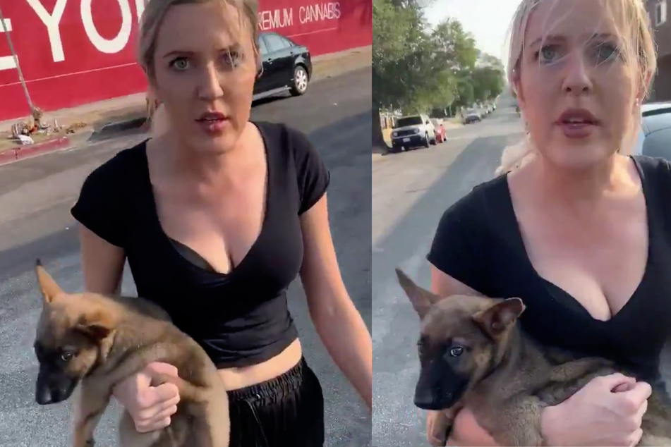 Abusive woman harasses rapper and throws puppy at him