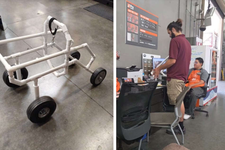 The employees of Home Depot came up with something special for Zeke the dog.