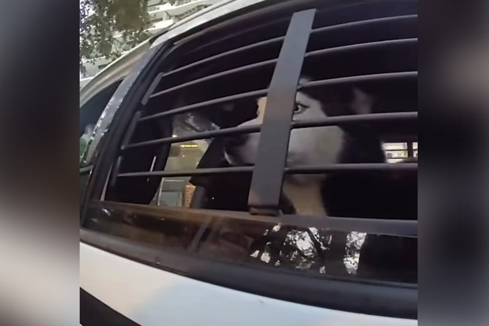 Thanks to the help of an attentive policeman, Luca was found!