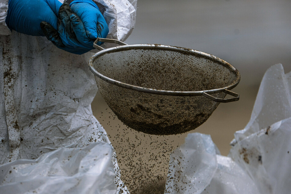 A lawsuit filed in LA claims that local residents were exposed to dangerous toxins due to the spill.