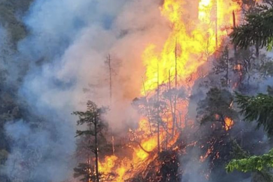 Strong winds are stoking the fires, which are affecting the Six Rivers National Forest and the Smith River National Recreation Area.