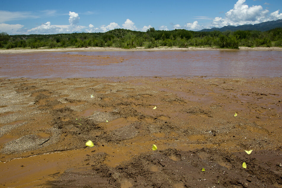 Mexico facing a "toxic crisis" after becoming the US' "garbage sink," UN expert warns