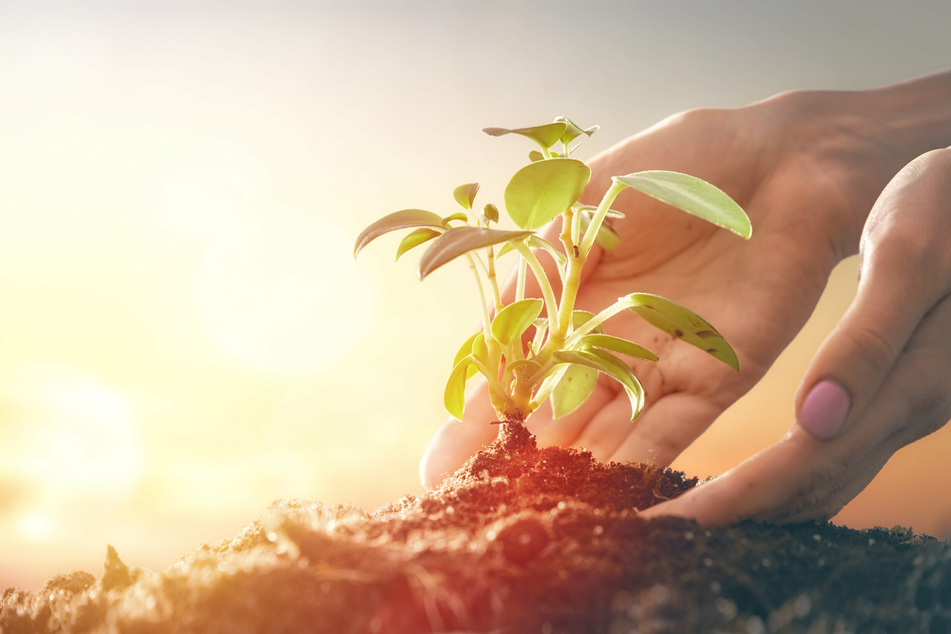 Earth Day star reading: An astrology guide to helping the planet – and yourself