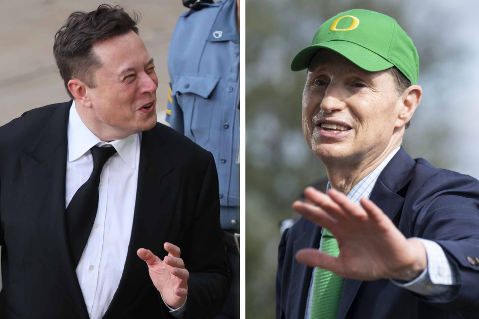 Elon Musk lashes out as Democrats announce billionaires income tax proposal