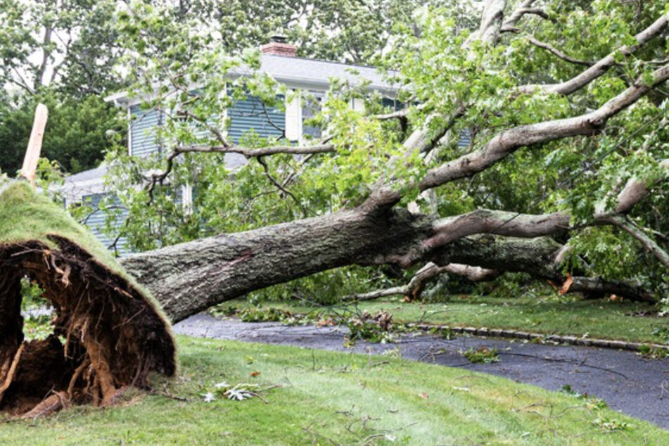 Michigan toddler killed in tragedy caused by rampaging tornado
