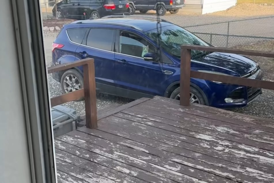 The car's window wasn't fully closed – an invitation for a certain uninvited feline guest.