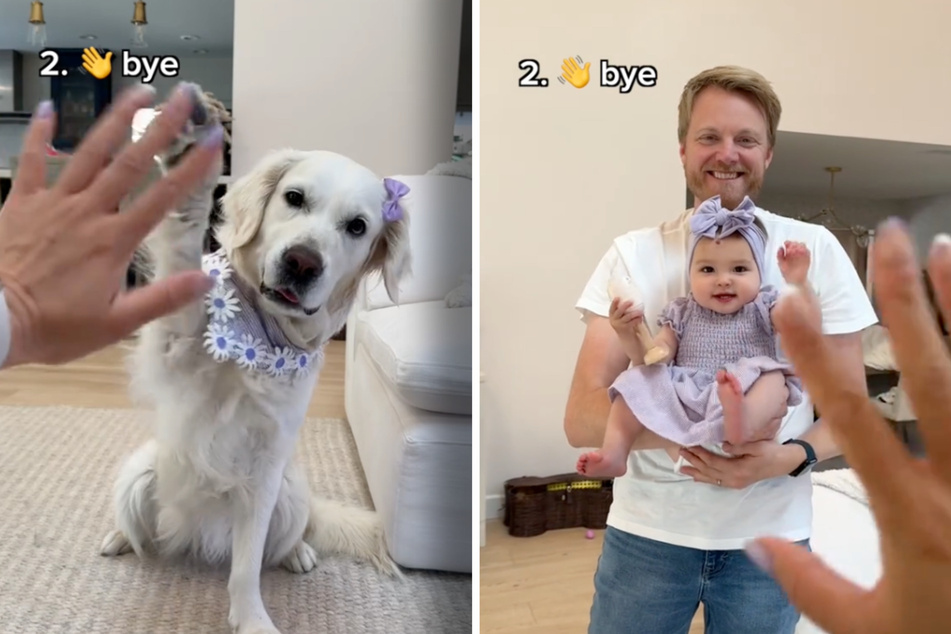 The baby and the dog know how to wave.