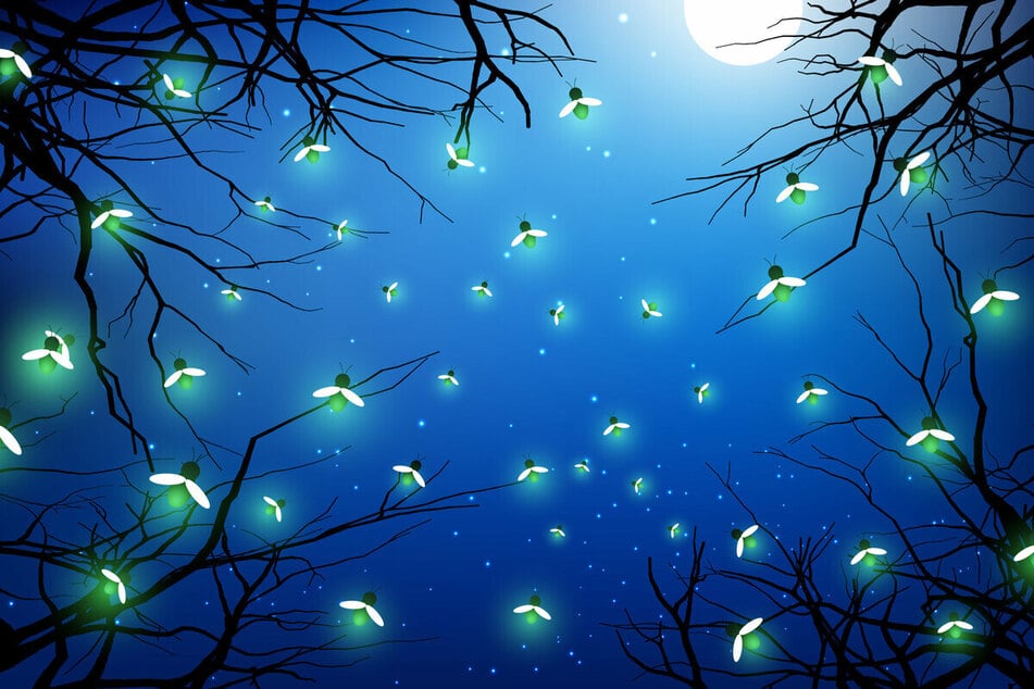 Today's horoscope: Free daily horoscope for Tuesday, January 13, 2026