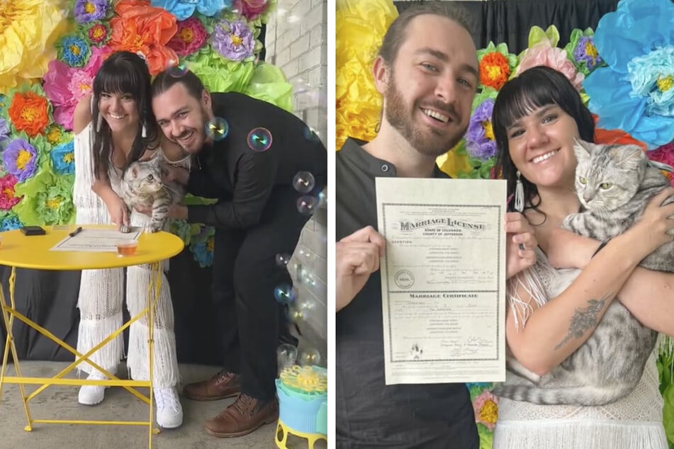 Cat acts as Colorado couple's marriage witness in adorable TikTok