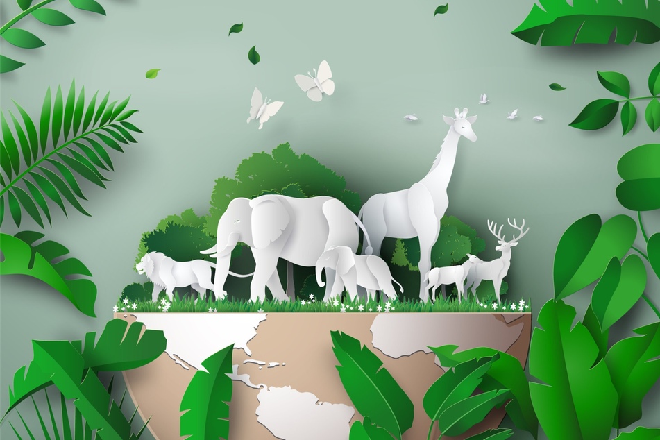 Wildlife populations have fallen by a shocking percentage in the past 50 years