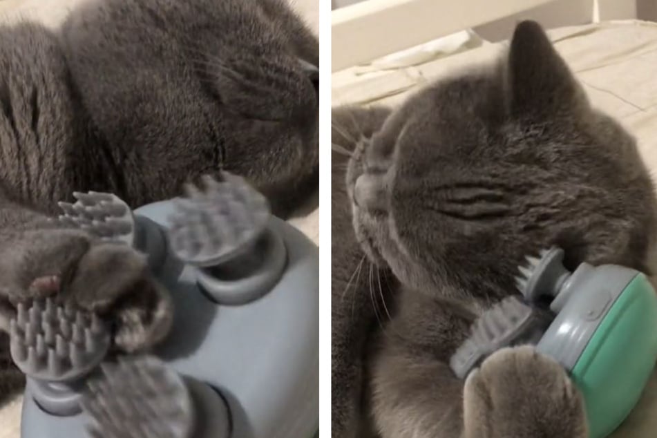 Ciccio wields the massager like a professional!