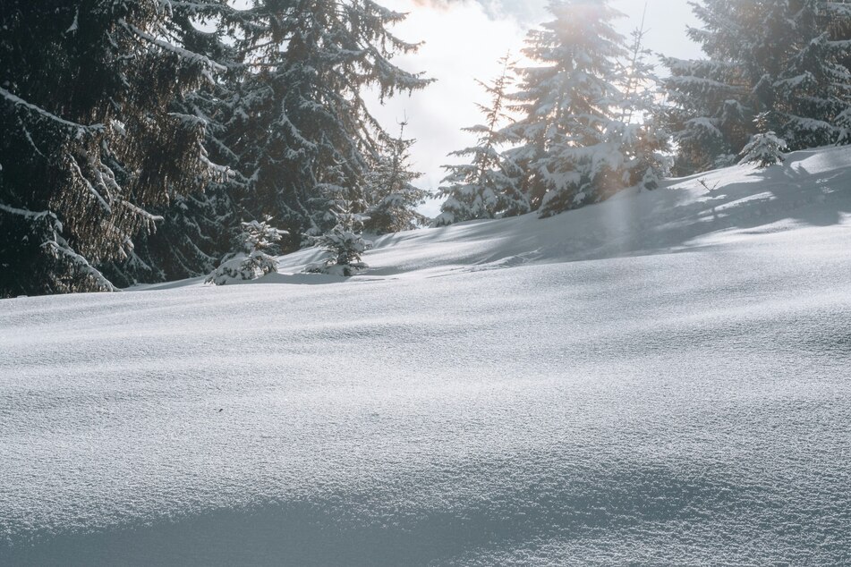 Eight of the nine skiers who went missing in California after an avalanche have been found dead, and one remains missing in horrific blizzard conditions, police said Wednesday (stock image.)