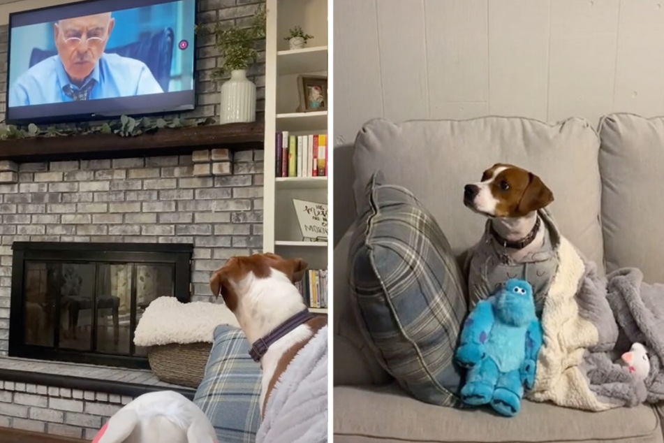 Winston is a real professional – he gives every movie his full and undivided attention.