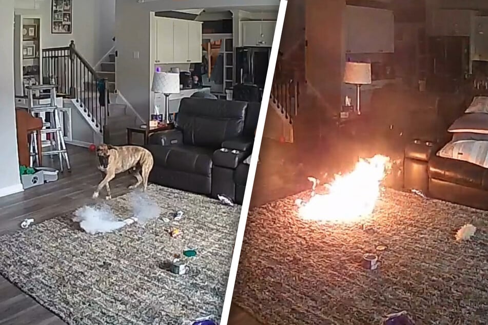 Thanks to the carpet material, the fire did not spread to far.
