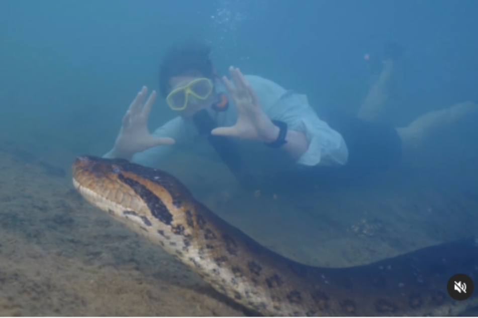 A 23-foot-long giant anaconda was discovered on the floor of the Amazon earlier this year, but the impressive creature has met a tragic end.